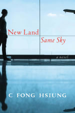 New Land Same Sky cover
